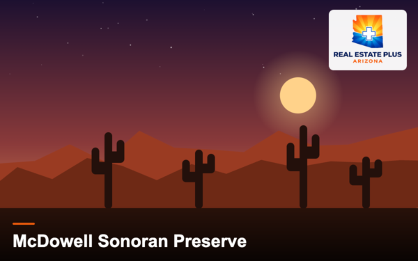 Desert trail with saguaro cactus at sunset — Real Estate Plus Arizona